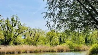 Expose Wunderschöner Eigengrund - direkt am Mühlwasser - ganzjährig wohnen - 1220 Wien