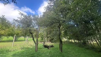 Expose Hagenbrunn im Speckgürtel Wiens - Großzügiges Baugrundstück mit ca 2500m²