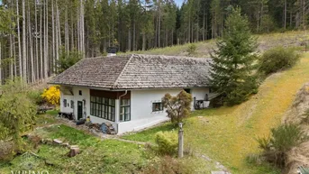 Expose Leben wie im Bilderbuch – Landhaus mitten im Mühlviertler Wald