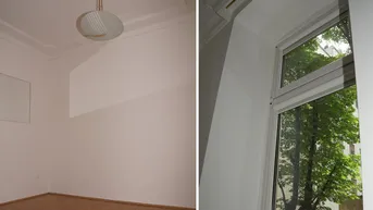 Leerer Raum mit Parkettboden, Stuckdecke und Blick ins Grüne durch das Fenster.