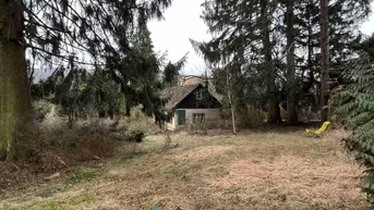 Expose Rarität - Grundstücke in Ruhelage an der Grenze Wiens zu verkaufen!
