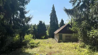 Expose Rarität - Grundstücke in Ruhelage an der Grenze Wiens zu verkaufen!