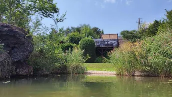 Expose Neufelder See IIIa - Ferienhaus auf Mietgrund - Direkt am See - Eigene Bucht