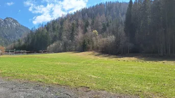 Expose Traumgrundstück in absoluter Ruhelage angrenzend am Wald - nahe Mariazell