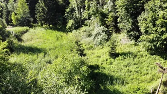 Expose ** PREISSENKUNG ** Großzügiges Grundstück - auch als Gartengrund nutzbar - in ruhiger Lage- provisionsfrei für die Käufer!