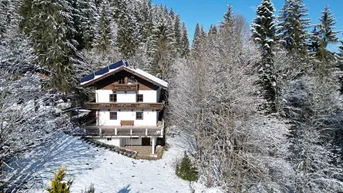 Expose 4.699m2 Grundstück mit Altbestand in Waldlichtung