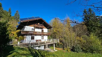 Expose 4.699m2 Grundstück mit Altbestand in Waldlichtung