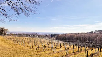 Expose Charmantes Reiheneckhaus zwischen Weinbergen und Citylife - Ihr neues Zuhause mit Garten im grünen 23. Bezirk