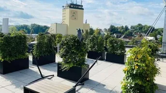 Expose Wunderschöne 3-Zimmerwohnung mit Dachterrasse, Grieskirchen, Zentrum