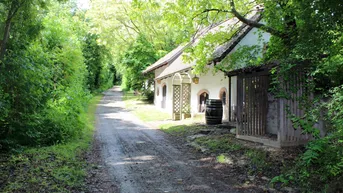 Expose Einzigartige Kellerobjekte mit Wochenendnutzung in einer typischen Weinviertler Kellergasse