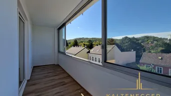 Expose Frisch renovierte 2-Zimmer-Wohnung mit Loggia &amp; Blick auf die Burg Liechtenstein