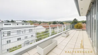 Expose Traumhafte Dachgeschosswohnung am Fuße des Hackenbergs