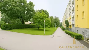 Expose Helle 2-Zimmer-Wohnung mit Loggia nahe Zentrum von Baden