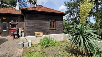 Dunkles Holzhaus mit Ziegeldach und einem gepflegten Gartenbereich mit Yucca-Pflanze.