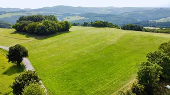 Expose Grundstück mit Baumbestand für landwirtschaftliche Zwecke | 60.053 m² | Schwarzenbach in der Buckligen Welt