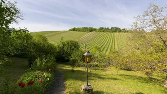Expose Einzellagenjuwel - 2.500m2 Grundstück zwischen den Weinreben am Nußberg