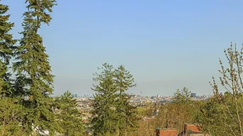 Expose Veitlissengasse - 2 Zimmer DG mit Balkon und Weitblick