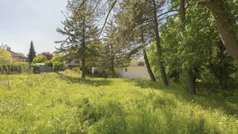 Expose Kreuzwiesengasse - sonniges Baugrundstück (unbebaut) am Schafberg