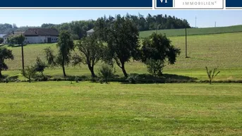 Expose Großes, sonniges und unverbaubares Grundstück in Engerwitzdorf