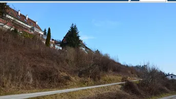 Blick auf eine bewaldete Hanglage mit Wohnhäusern und einer Straße im Vordergrund unter blauem Himmel.