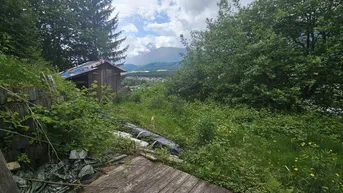 Naturbelassener Gartenbereich mit Holzhütte, üppigem Grün und Bergblick im Hintergrund.