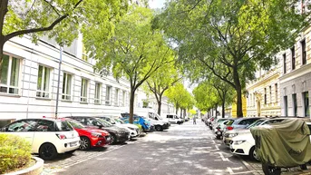 Baumgesäumte Straße mit parkenden Autos und Gebäuden im Hintergrund, die eine städtische Umgebung zeigt.