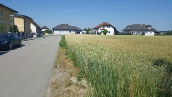 Expose Amstetten - Schönes Haus in Holzriegelbauweise mit Grundstück