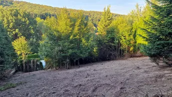 Expose Baugrundstück mit 2 Bauprojekten und herrlichem Blick auf die Berge