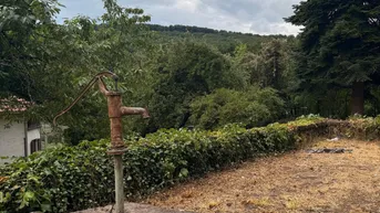 Rustikale Wasserpumpe in einem verwilderten Gartenbereich mit Blick auf bewaldete Hügel unter bewölktem Himmel.