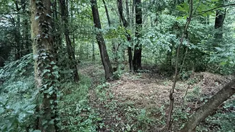 Expose Baugrundstück mit Altbestand in Breitenfurt-Ost