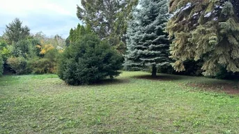 Expose Traumhafter Baugrund für Villa oder Zweifamilien-/Doppelhaus