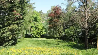 Expose Traum-Baugrund in Hagenbrunner Bestlage am Naturschutzgebiet
