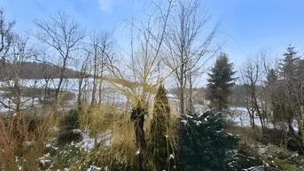Winterliche Landschaft mit Bäumen und leicht verschneiten Feldern unter einem hellen Himmel.