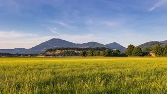 Weite grüne Felder erstrecken sich bis zu einer sanften Hügellandschaft unter blauem Himmel.