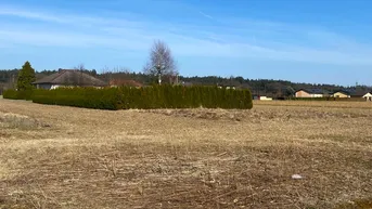 Expose Ebenes Baugrundstück in Zwaring, sonnig und ruhig gelegen!