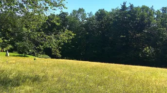 Expose BESONDERHEIT: 2.744 m² Grundstück für Naturliebhaber in absoluter Ruhelage in 8046 Graz-St.Veit!