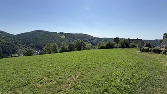 Expose Top-Lage! Grundstück mit ca. 1.533 m² in Andritz – traumhafter Ausblick in ruhiger Sonnenlage!
