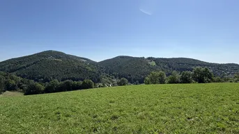 Expose Wunderschönes Grundstück in Graz-Andritz – ca. 803 m² in Sonnenlage mit TOP-Ausblick!