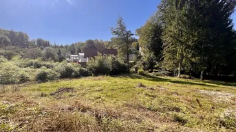 Expose Rarität! Ca. 1.548 m² großes, ruhiges Grundstück - Stadtrandnähe, nur 10 Minuten vom LKH entfernt!
