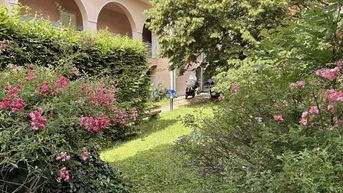 Grüner Gartenbereich mit blühenden Sträuchern und einem Gebäude im Hintergrund.