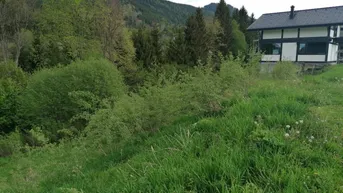 Expose Grundstück in Steinhaus am Semmering