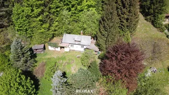 Expose Baugrundstück mit alten Holzblockhütten