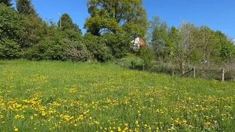 Expose ***3 Baugrundstücke in sonniger Lage – Hafendorf bei Kapfenberg***