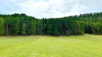 Expose Die Perle des Piestingtales | Hinreißendes Grundstück mit Bergblick
