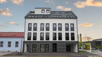 Moderne Wohnhausfassade mit weißem Putz, dunklen Akzenten und vielen Dachfenstern.