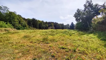 Expose Update! Großzügiges Grundstück in zentraler Wohnlage. - Infrastruktur fußläufig, Ausrichtung Süd-Ost. - Bauplan inklusive.
