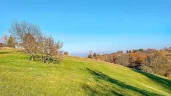 Expose Naturnahes Wohnbau-Grundstück. - Mit Wald-Anteil. - 5 Min. vor Jennersdorf.