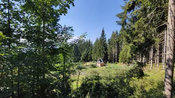 Expose Traumhaftes Baugrundstück mit Fernblick in St. Anna am Lavantegg.