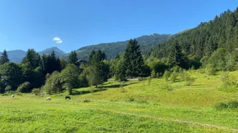 Expose Wohnen im Herzen der Alpen – Baugrundstück in malerischer Umgebung in Donnersbachwald.