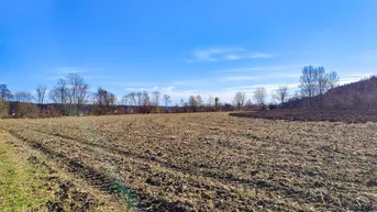 Expose Ebenes Landwirtschaftliches Grundstück bei Söding. - Potential zur Vergrößerung mit + 2,1 ha.